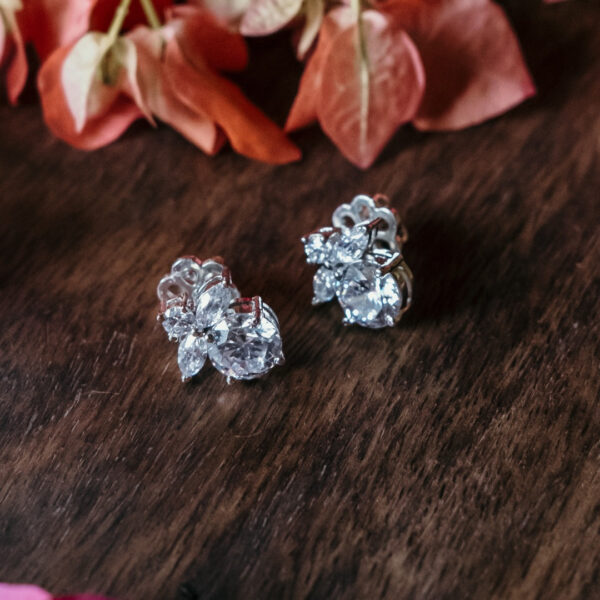 Zirconia Earrings (EMANN09)